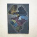 Lichens de pierres 1964
