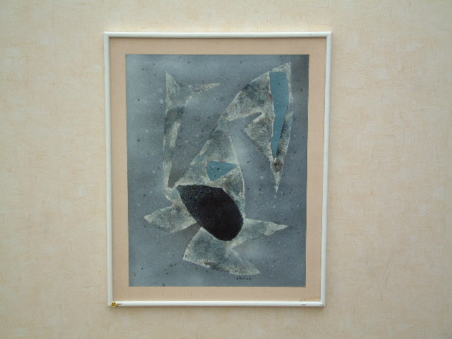 Coquille animal 1965